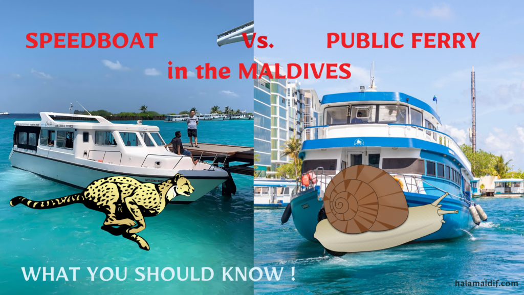 Speedboat ferry vs. slow public ferry in the maldives