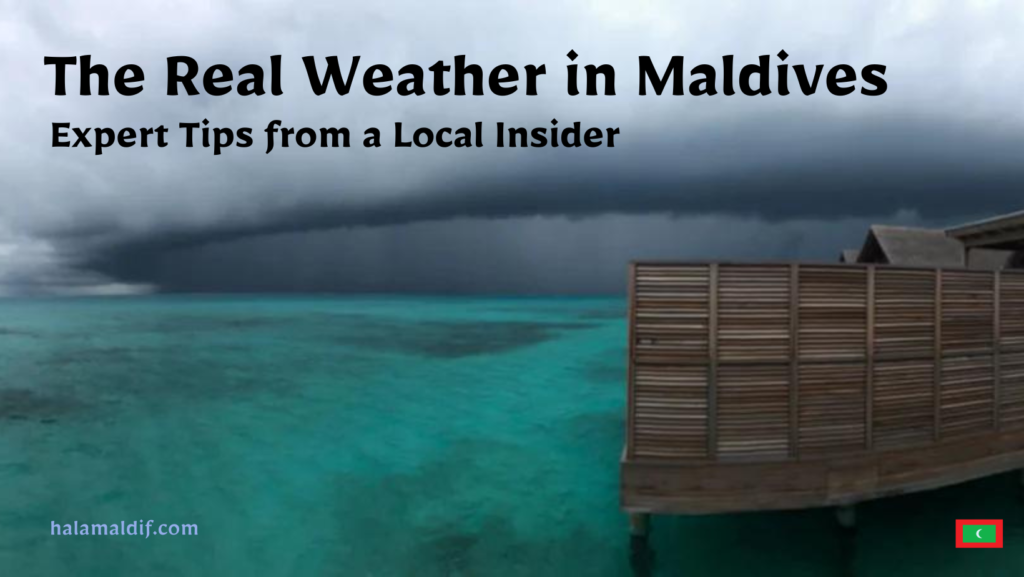weather in maldives in 2024