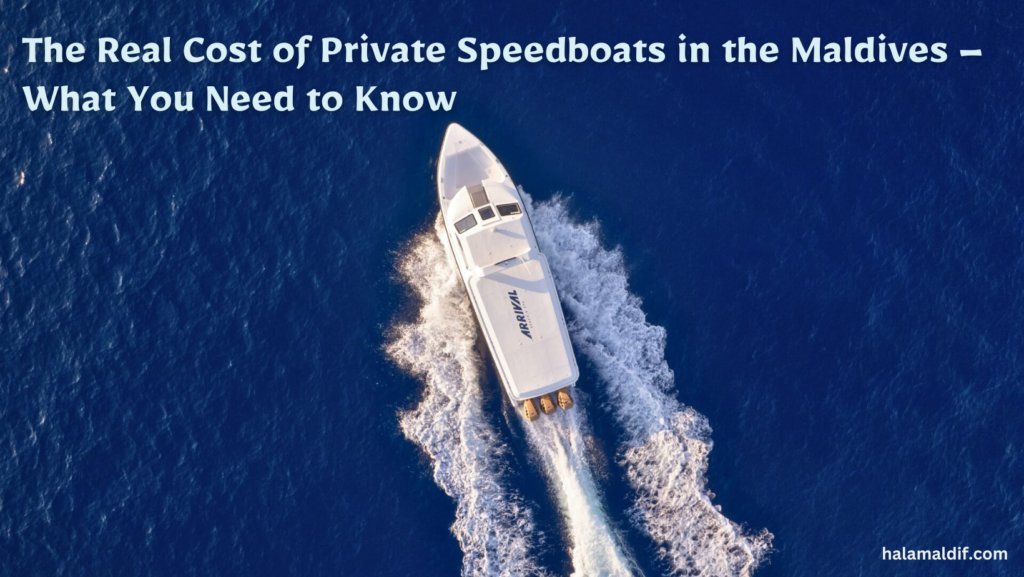 The Real Cost of Private Speedboats in the Maldives – What You Need to Know